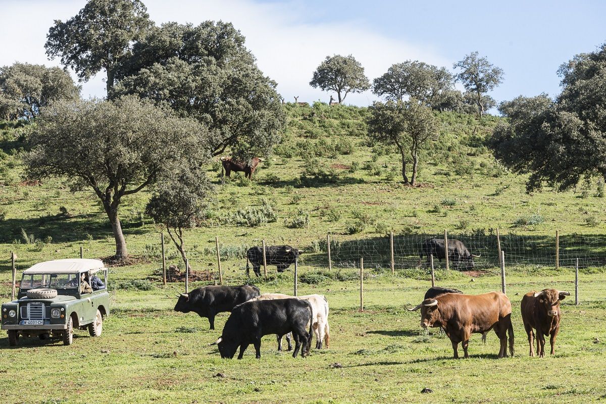 Turismo taurino Andalucía