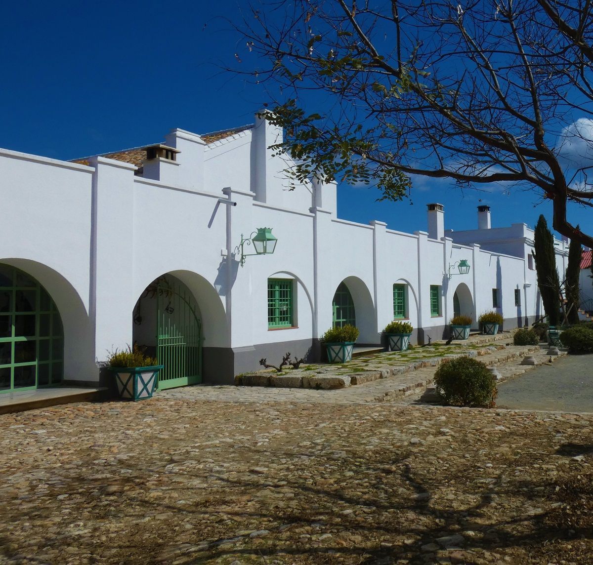 Paisaje de la Finca La Saucedilla, ganadería toro bravo en Antequera, Málaga