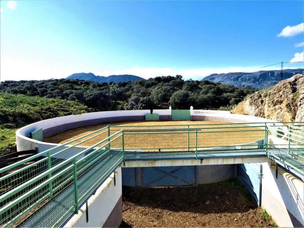 VISITA GANADERÍA MÁLAGA022